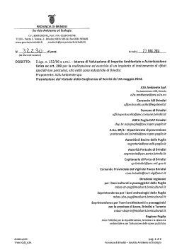 pdf - Provincia di Brindisi