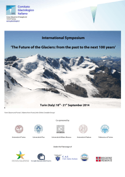 Final programme Symposium CGI Turin 2014_lGarzonio