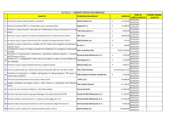 Elenco affidamenti 2013 formato PDF