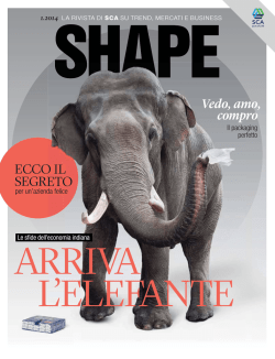 IT SCA magazine SHAPE 1 2014 India