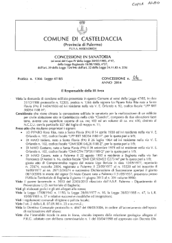 CONCESSIONE IN SANATORIA N 04 - 2014