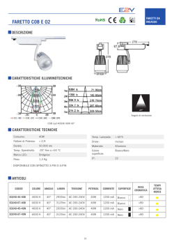 FARETTO COB E 02 - E2Y LED Vendita lampade led Corropoli