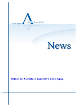 Ruolo del Comitato Esecutivo nelle S.p.a.
