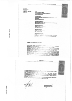 EL SERVIZIO POLITICH5 PER Il. MVDRO