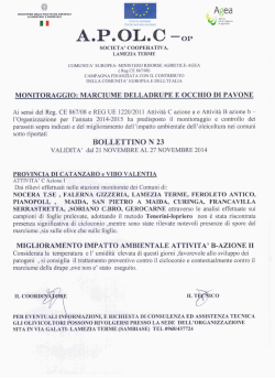 Bollettino n. 23 pubblicato il 22/11/2014