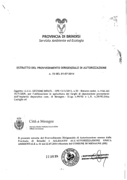 estratto del provvedimento dirigenziale di autorizzazione n. 72 del