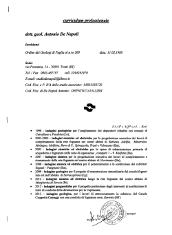 curriculum professionale dott geoL Antonio De Napoli