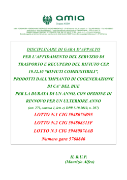 DISCIPLINARE servizio 19.12.10 CDR anno 2014