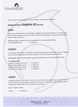 IMBARCAZIONE Dolphin 81 NUOVA