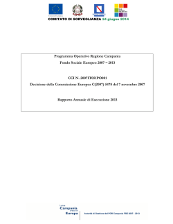 Rapporto Annuale di Esecuzione 2013