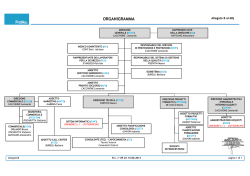ORGANIGRAMMA - Pratika Srl