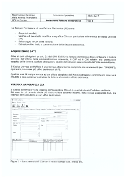 Istruzioni Operative