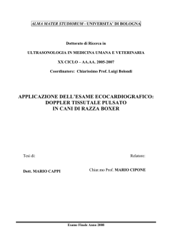 Documento PDF - AMS Tesi di Dottorato
