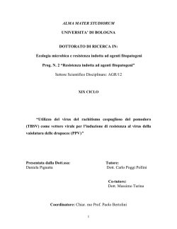 Documento PDF - AMS Tesi di Dottorato