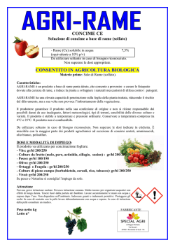 download SCHEDA TECNICA