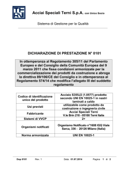N° 0101 - S355J2 - ThyssenKrupp Acciai Speciali Terni