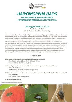 Halyomorpha halys - Eventi Fondazione Edmund Mach