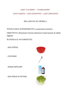LICEO “G.G.ADRIA” – “G.P.BALLATORE” LICEO CLASSICO