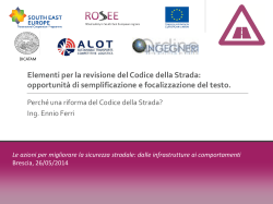 Elementi per la revisione del Codice della Strada