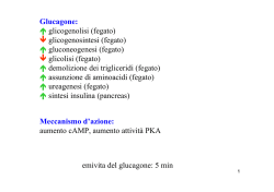 Glucagone: &uarr; glicogenolisi (fegato) &darr; glicogenosintesi (fegato