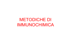Immunoistochimica - I blog di Unica