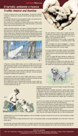 Il tartufo: ambiente e ricerca