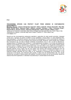 P141 TRICHODERMA SPECIES CAN PROTECT PLANT FROM