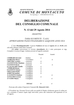 CC 13-14-Piano Finanziario e Aliquote TARI