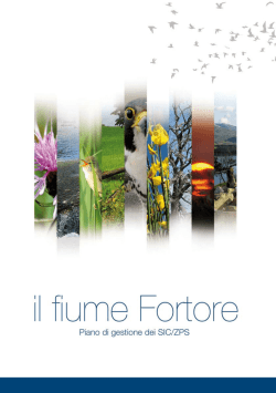 &egrave; scaricabile qui