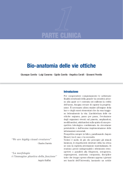 PARTE CLINICA Bio-anatomia delle vie ottiche