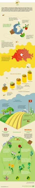 Infografica Download (PDF, 4320 kB)