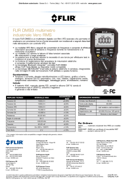 FLIR DM93 multimetro industriale Vero RMS
