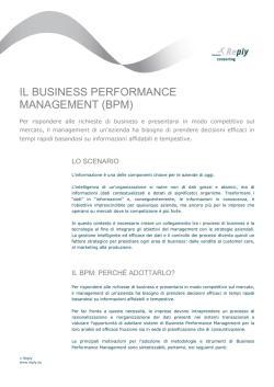 IL BUSINESS PERFORMANCE MANAGEMENT (italiano)
