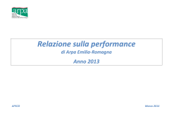 Relazione sulla performance 2013