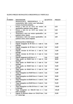 ELENCO PREZZI SEGNALETICA ORIZZONTALE E VERTICALE 1