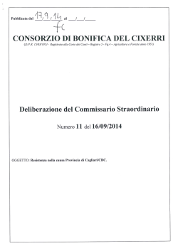 CS 11-2014 - Consorzio Bonifica del Cixerri