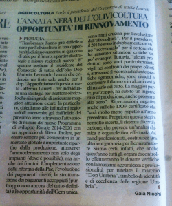 Scarica la Rassegna Stampa 2014