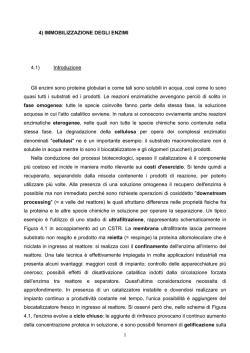 Dispense 4 Immobilizzazione degli enzimi