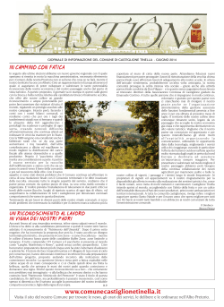 Castiôn - Giugno 2014 (Scarica in PDF)