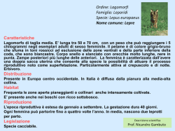E - Cieri Milva Azienda Agricola