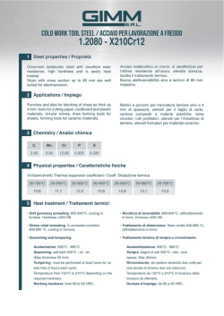 1.2080 - GIMM srl Acciai