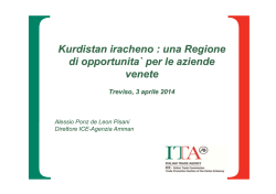 Intervento ICE - Camera di Commercio di Treviso