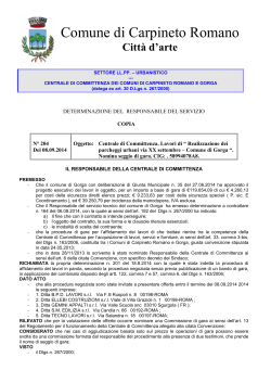 Determina n.204 ufficio tecnico