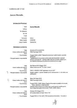 CV - Università degli Studi di Napoli Federico II