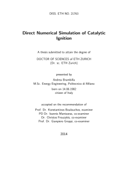 Direct Numerical Simulation of Catalytic Ignition - ETH E