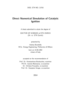 Direct Numerical Simulation of Catalytic Ignition - ETH E