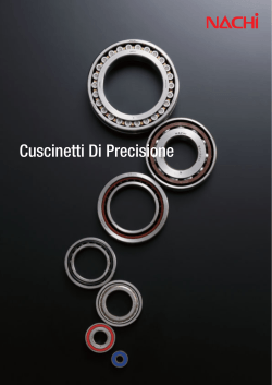 Cuscinetti Di Precisione