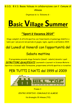 VOLANTINO Basic Village Summer 2014