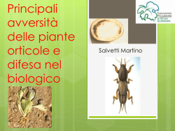 difesa - Comunit&agrave; Montana Valtellina di Sondrio