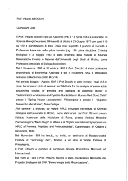 Prof. Vilberto STUCCHI Curriculum Vitae